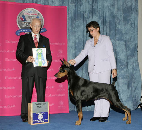 Dobermann Breeders