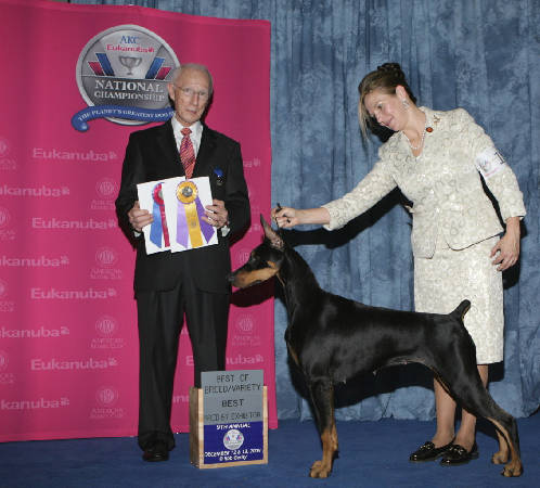 Dobermann Breeders