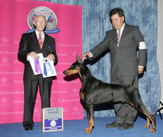 Dobermann Breeders